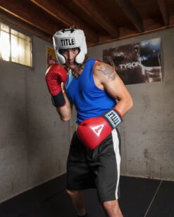 TITLE Boxing Masters USA Boxing Competition Gloves - Elastic -Boxing Promotions Shop macges rd 1 1