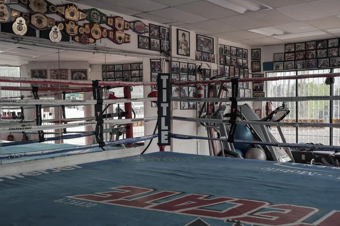 TITLE Boxing Jumbo Corner Cushions V3.0 – Set Of 4 7 TITLE Boxing Jumbo Corner Cushions V3.0 – Set Of 4 - Image 7