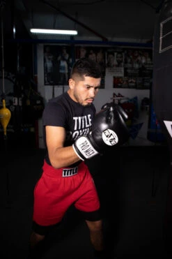 Pro Mex Professional Bag Gloves V3.0 26 Pro Mex Professional Bag Gloves V3.0 -Boxing Promotions Shop pmhbg3 bk 2