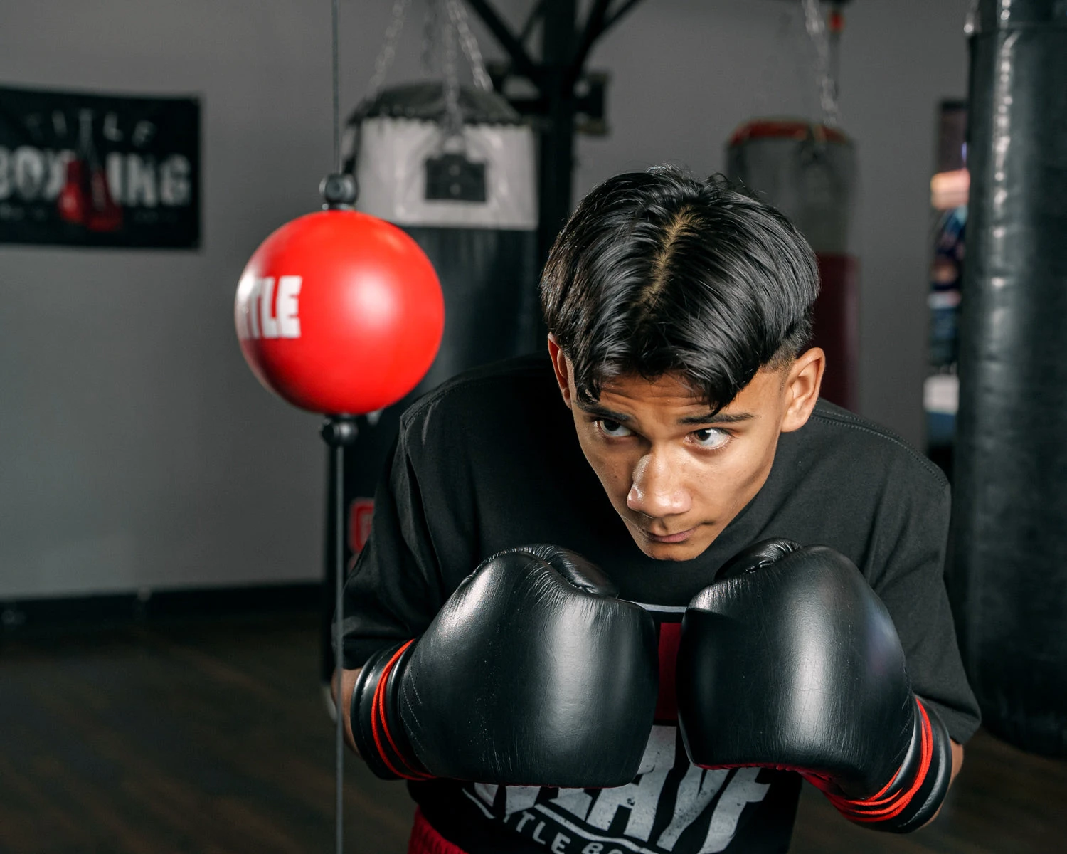 TITLE Boxing Quick Puncher 2.0 2 TITLE Boxing Quick Puncher 2.0 - Image 2