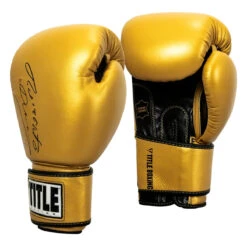 TITLE Boxing Roberto Duran Leather Training Gloves -Boxing Promotions Shop rdtg gd bk 02
