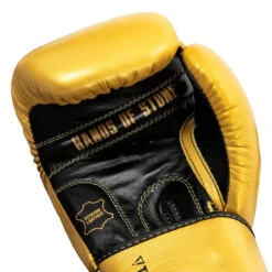 TITLE Boxing Roberto Duran Leather Training Gloves -Boxing Promotions Shop rdtg gd bk 05