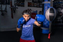 TITLE Boxing Royalty Leather Bag Gloves -Boxing Promotions Shop rybg