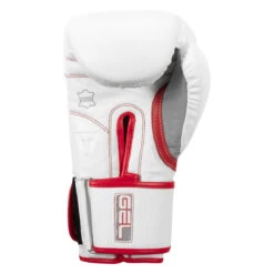 TITLE Boxing Gel Special Edition Bag Gloves -Boxing Promotions Shop setgbg sv wh rd 04