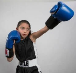 TITLE Boxing Aerovent Elite Amateur Set - Original -Boxing Promotions Shop tabs 1