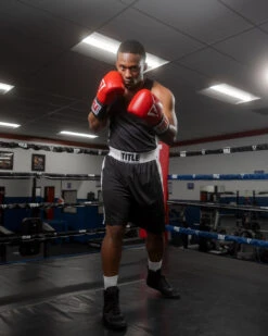 TITLE Boxing Aerovent Elite Amateur Set - Original -Boxing Promotions Shop tabs bk 1 1