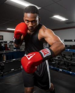 TITLE Boxing Aerovent Elite Amateur Set - Original -Boxing Promotions Shop tabs bk 2 1