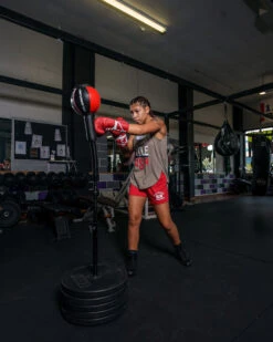 TITLE Boxing Deluxe King Cobra Reflex Bag With Anchor Bags -Boxing Promotions Shop tfsrb2