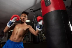 TITLE Boxing USA Leather Bag Gloves -Boxing Promotions Shop usabg replace the current