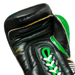 WBC By TITLE Boxing Sparring Gloves -Boxing Promotions Shop wbcsg bk gn 05