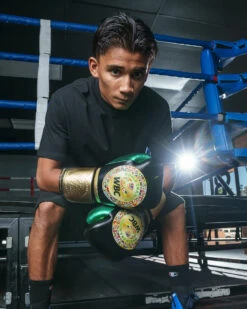 WBC By TITLE Boxing Green Belt Training Gloves 1.0 -Boxing Promotions Shop wgbtg bk 2 1